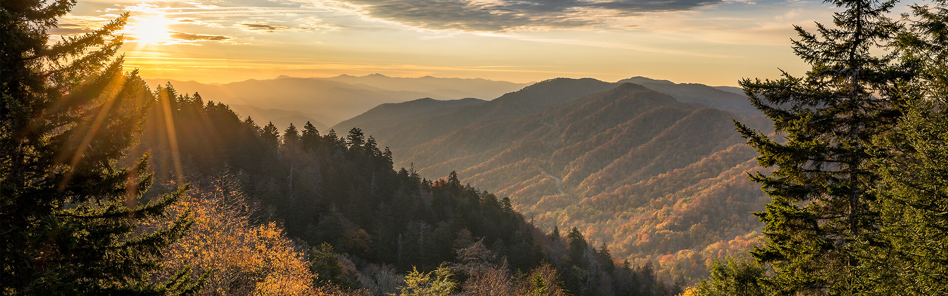 Learn More Stonegate Homeowners Association